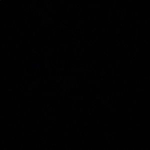 Meet your Posher, Tj